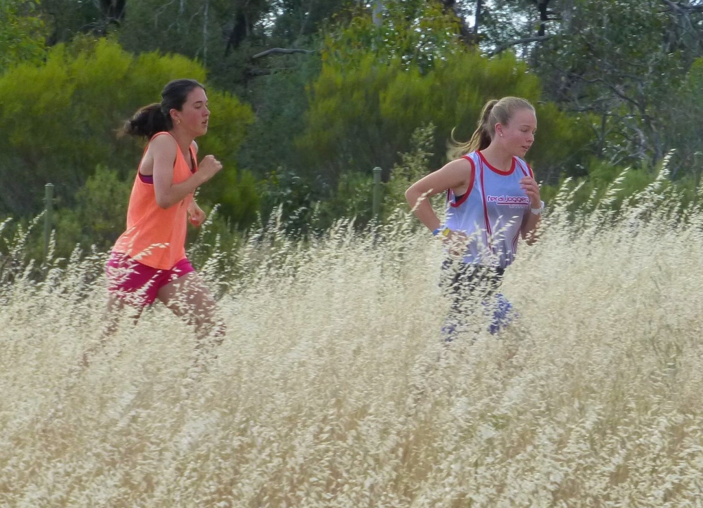 Perfect pastoral image ...